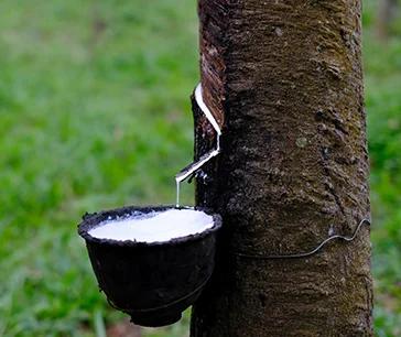 Growth Prospects of Liquid Synthetic Rubber Applications in Transportation Industry