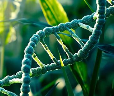 Life Sciences Domain: Allied Market Research’s Top 5 Emerging Markets in Q2 2024