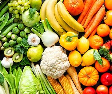 Top 10 Published Studies in the Food and Beverages Sector: A New Dimension to Its Growth in 2024