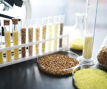 food and beverage market food and beverage market